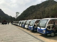 網上購買電動觀光車的注意事項